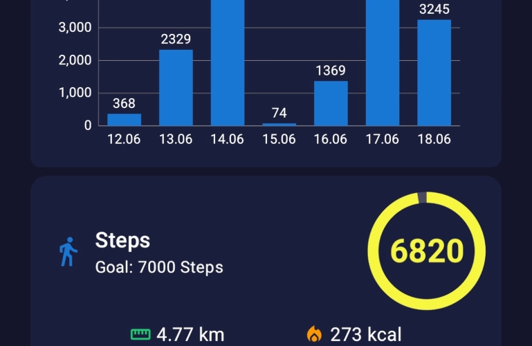 Stepcounter App Android